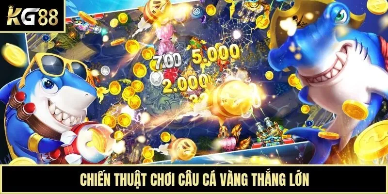 Chiến thuật chơi Câu Cá Vàng thắng lớn